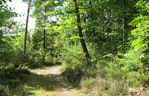 Randonnées à verneuil-sur-Avre